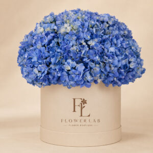 Blue Elan