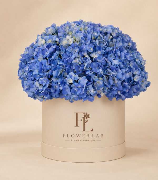 Blue Elan