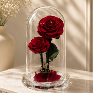 Rose Dome