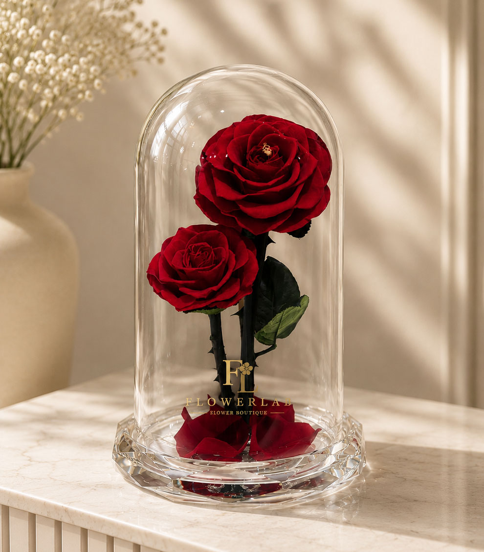 Rose Dome