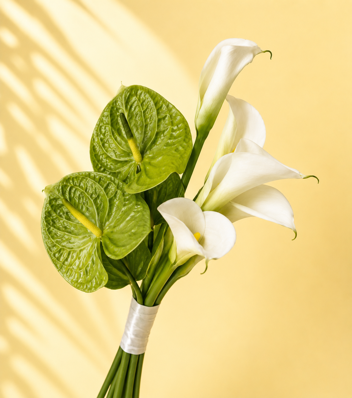 Ivory Serenity